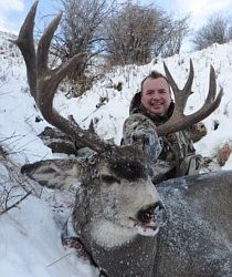 Alberta Canada – Mule Deer (Rifle)