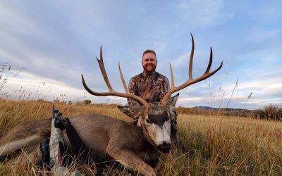 Wyoming -5 Day Mule Deer (Rifle)