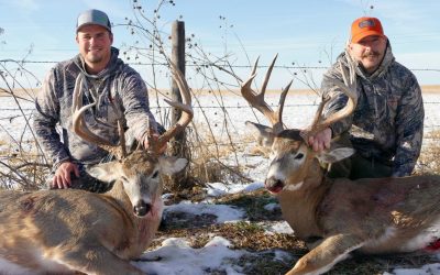 Nebraska – Whitetail